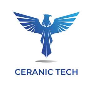 CERANIC Informatique Services (EI), un codeur de site marchant à Gennevilliers